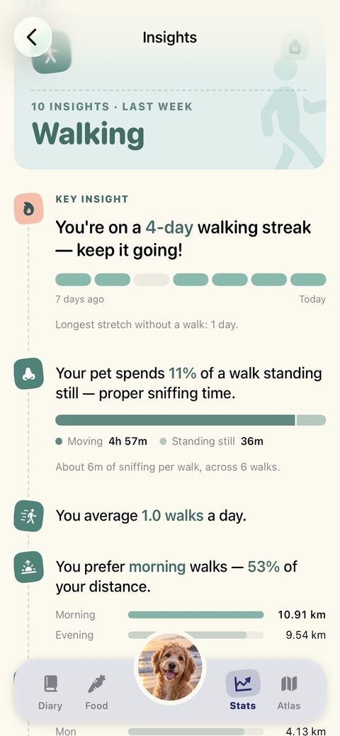 Walking insights with a four-day streak as the key insight and standing-still time