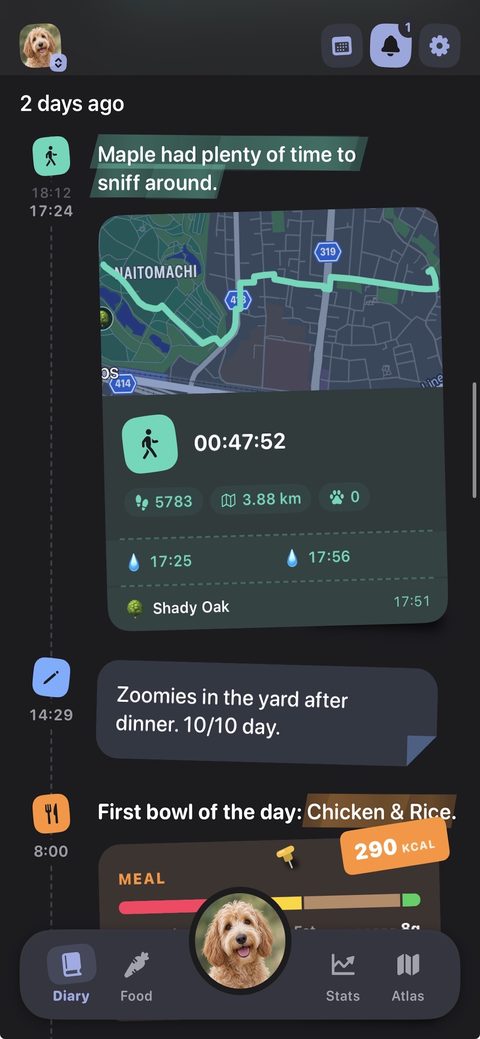 Diary in dark mode with a walk card, a note and a meal