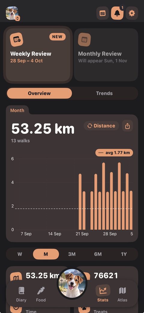 Stats overview in dark mode with the Weekly Review card and a month distance chart